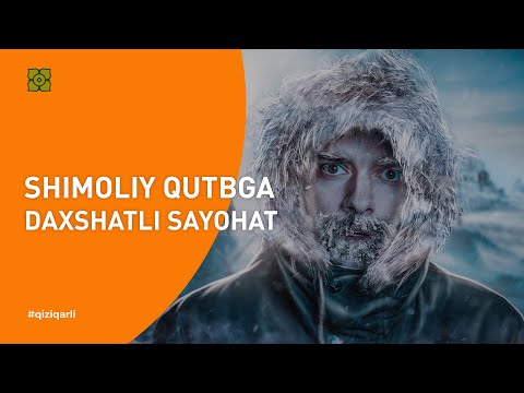 Video: Arktikada Qanday Qilib Omon Qolish Mumkin