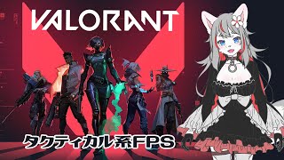【VALORANT】妨害ウルフの成り上がり🛡【2023-11-22】