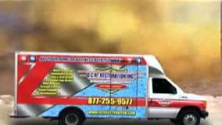 Mold Remediation Inglewood FL 941