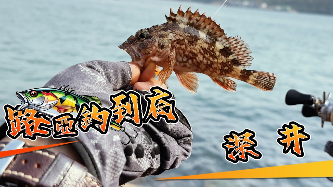 深井｜#路亞釣到底｜#路亞｜#假餌｜#釣魚｜#自由釣組｜#根釣｜#香港岸釣｜#lurefishing｜#bfsfishing｜#rockfishing