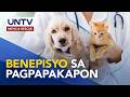 Benefits na makukuha sa pagpapakapon ng alagang aso o pusa | Good Morning Kuya