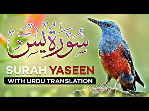 surah-yasin-36-(yseen-sharif)-full-with-urdu-translation-by||-shekh-sudais-(hd)-arabic-text(سورة-يس)