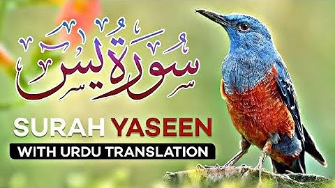 Surah Yaseen 36 (Yasin) With Urdu Translation By | Shaikh Al Sudais (HD) Arabic Text (سورة يس)