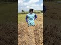 sehat adalah Riski terbesar #tani