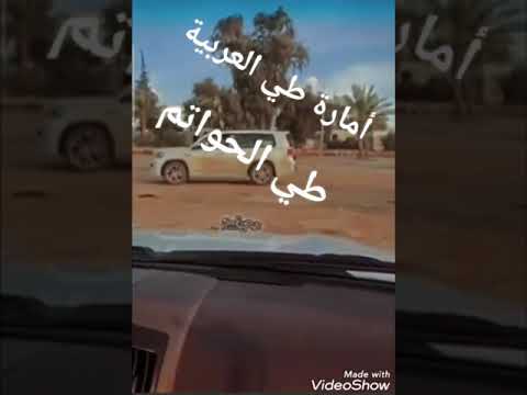 أمارة طي العربية طي الحواتم