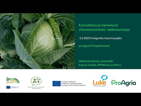 Video: Kasvipuutarhojen tuholaiset: tuholaisten pitäminen poissa vihannespuutarhoista