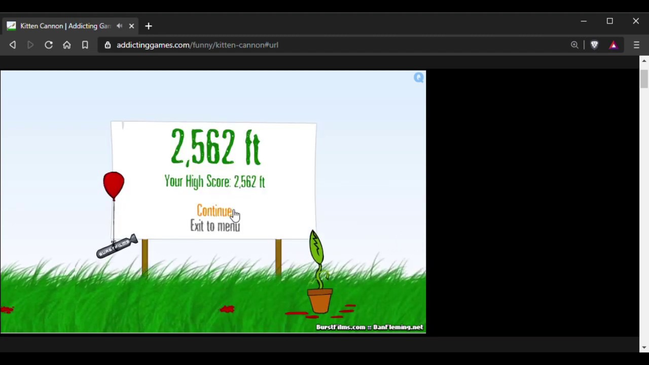 World Record for Kitten Cannon