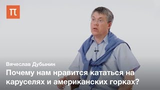 Вестибулярная система — Вячеслав Дубынин