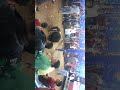 فرح وليد سعيد فرح وليد سعيد