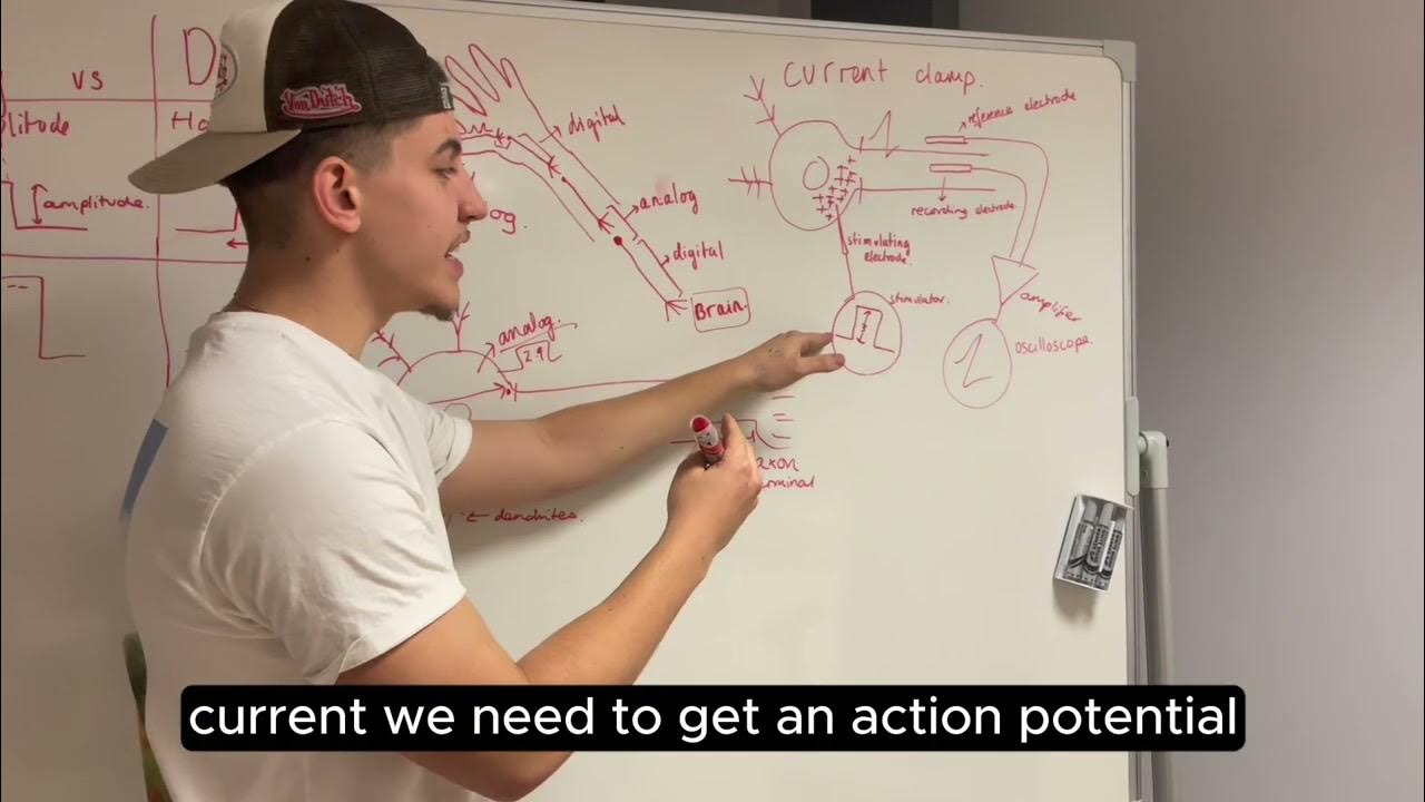 Current Clamps vs Voltage clamps, Analog and Digital code YouTube