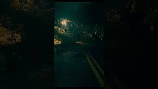 🌳 Emergency Tree Removal at Night | D&G Tree Removal