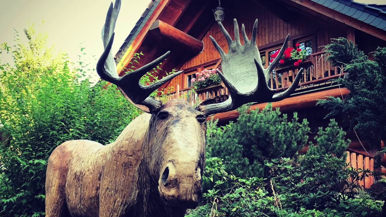 Ural Gespann 3 Tage im Harz