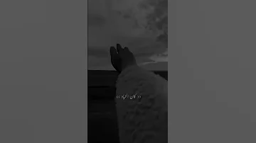 اصاله وفكره اكمل وانا مش معاه 