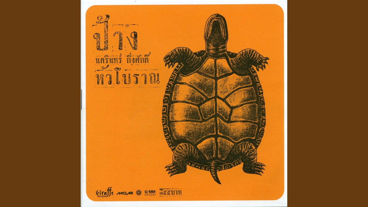 ปกเพลง คู่ชีวิต — PANG NAKARIN