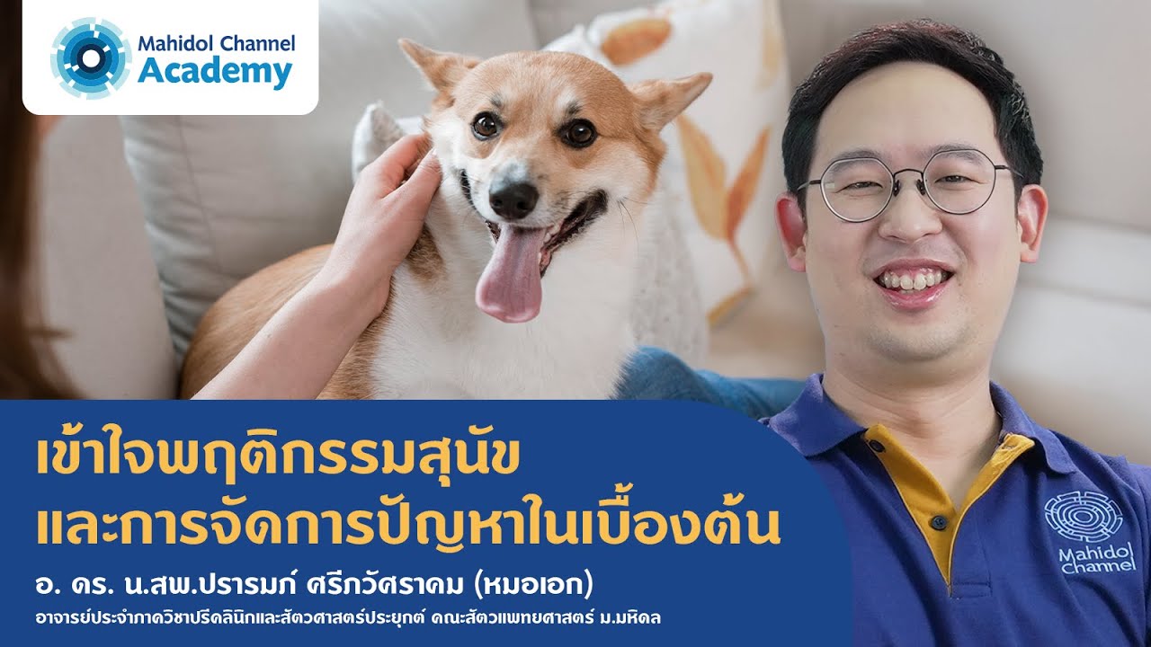 เข้าใจพฤติกรรมสุนัขและการจัดการปัญหาในเบื้องต้น | Mahidol Channel Academy