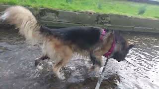Splish Splash Echo