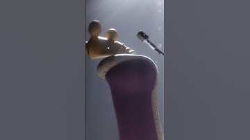 SINGER KINGER (The Amazing Digital Circus / TADC Animation)