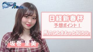 【日経新春杯】坂巻里美の予想する上で重要なポイント！