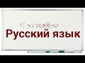 Русский язык, 6 класс. Числительное, 1 часть