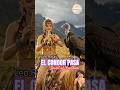El Condor Pasa • Leo Rojas | Spirit of Freedom 🗽Epic Native Flute with Nature Journey 🌿
