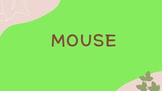 MOUSE#class 2#class 3#mcq#mouse