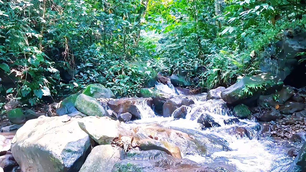 Calm River Sounds for Bedtime Calm