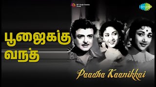 பூஜைக்கு வந்த | Paadha Kaanikkai | P.B. Sreenivas | S. Janaki Songs | Gemini Ganesan | Savitri