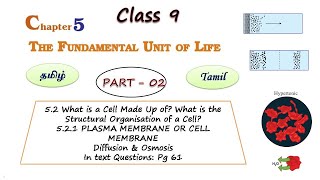 The Fundamental Unit of Life in Tamil Part 02, Class 9 Science Chapter 5 Biology in Tamil CBSE NCERT