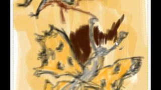 Insect Study