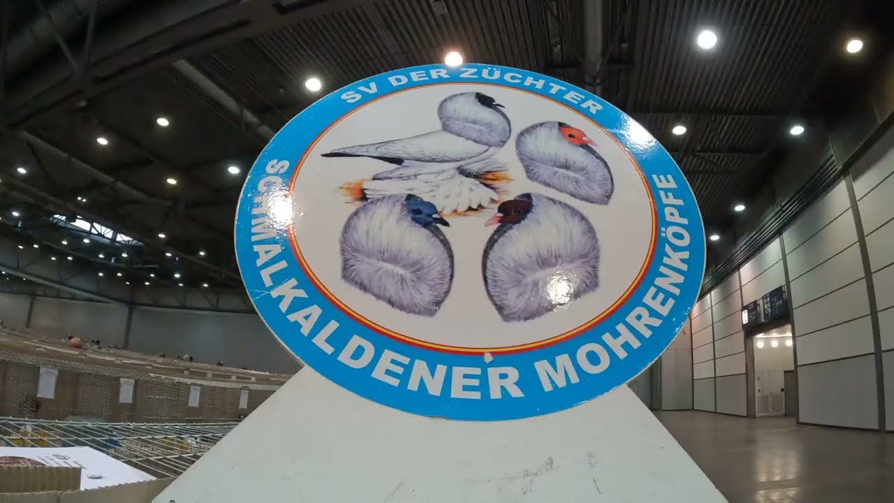 EZPOZITIA DE PORUMBEI LEIPZIG 2025 / LEIPZIG PIGEON EXHIBITION 2025