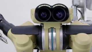 Taurus Dexterous Telepresence Manipulation System