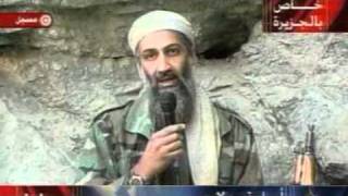 من هو اسامة بن لادن