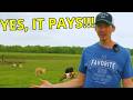 How To Make A Profit On A Small Scale Farm – 5 Things To Consider Mp3 Song