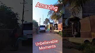 CCTV Footage Dog Miss Catch #streetdogrevival #shorts #ytviral #pets #animals #dog