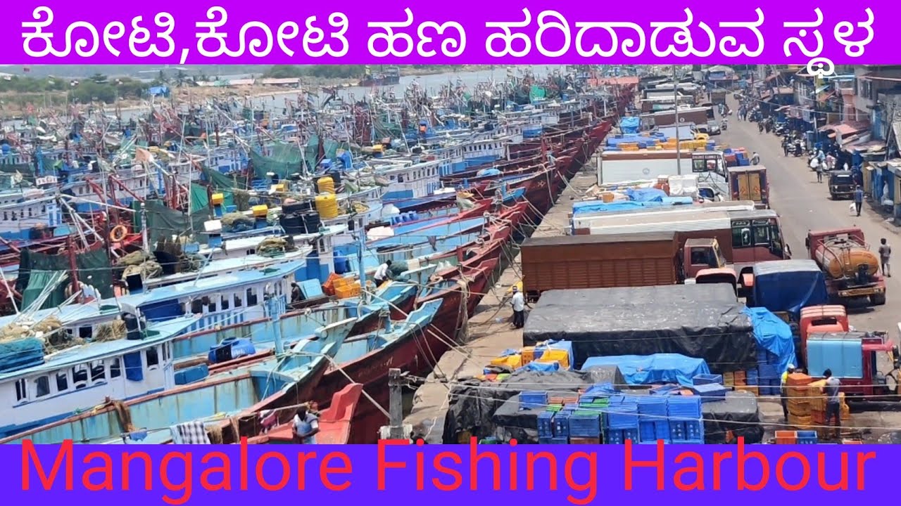 One Round in Mangalore Fishing Harbour / ಮಂಗಳೂರಿನಲ್ಲಿ ಅತ್ಯಂತ ಹೆಚ್ಚು