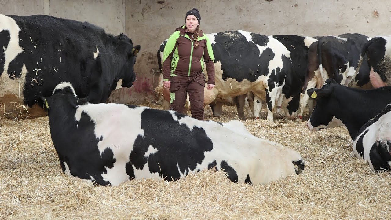 ZOOTEHNIKI po študiju: Barbara Kunšič Demšar, vodja Posestva Poljče, KGZ Sava