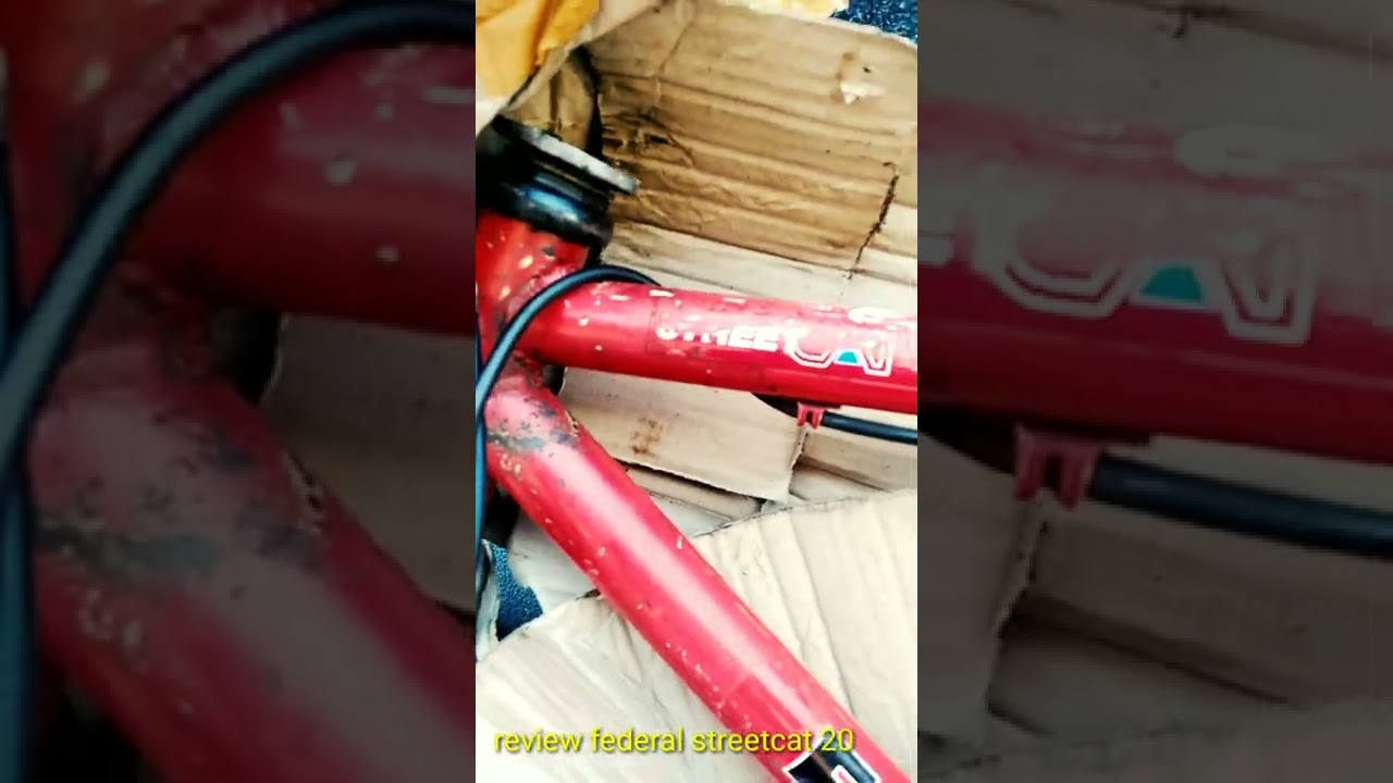 review federal streetcat uk 20 orginal 