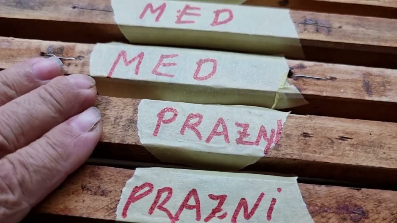 TAJNA UZIMLJAVANJA PČELA NA VRIME.19.07.2023