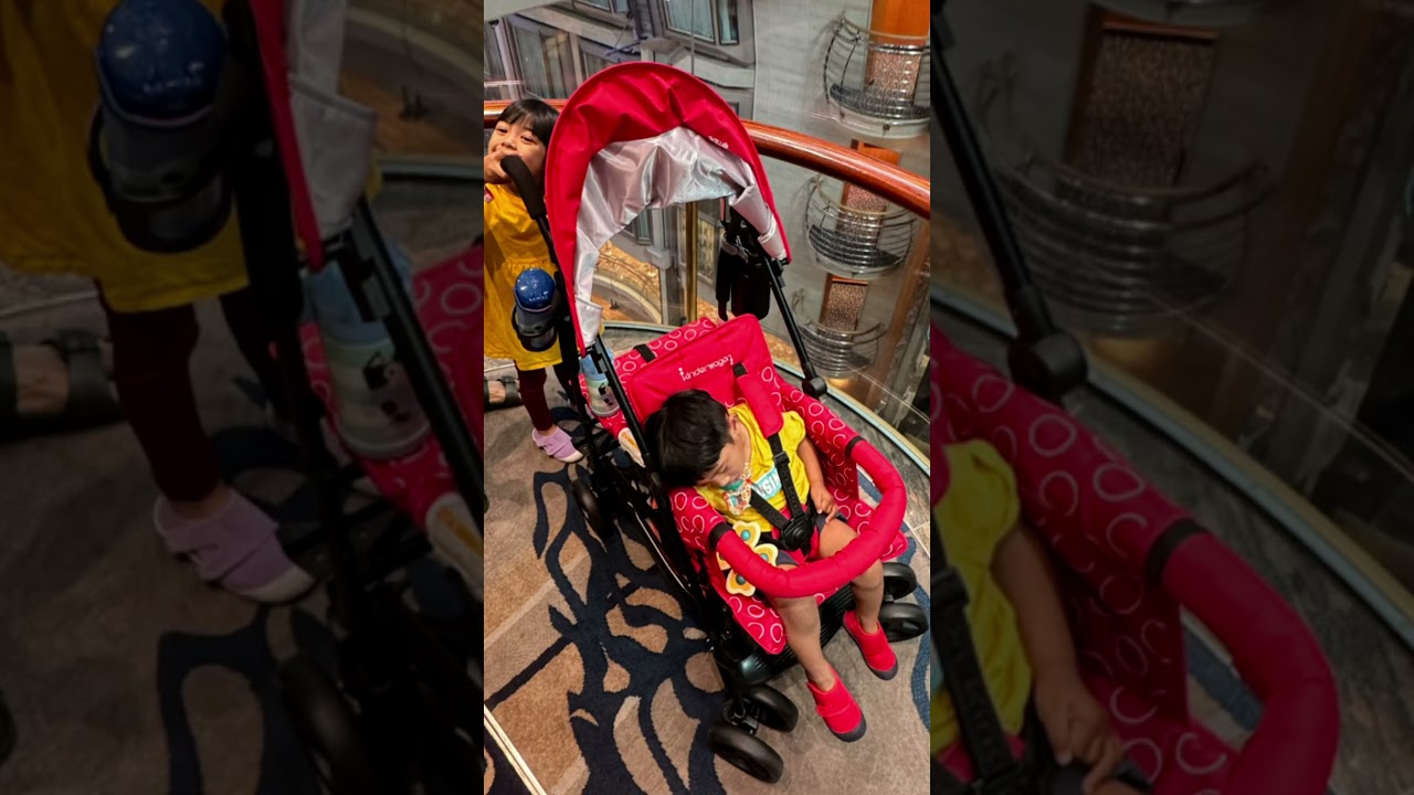 2 seat stroller wagon Joey Wagon Stroller
