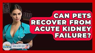 Can Pets Recover From Acute Kidney Failure? - Ask A Pet Vet