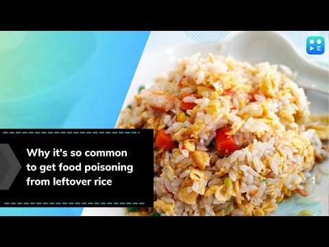 Videó: Biztonságos a zsizsikával fertőzött rizs fogyasztása?