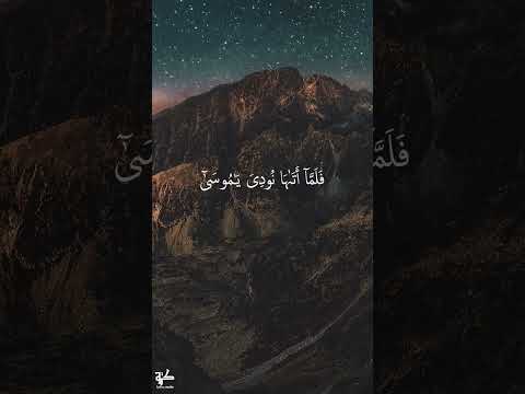 قصة سيدنا موسى وطريقة سردها الرائعة في سورة طه بتلاوة الشيخ محمد أيوب ريلز قرءان كريم قرآن شورت