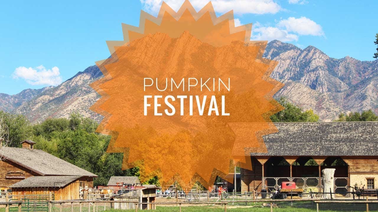 Fall Wheller Fall Pumpkin Festival (wheeler Farm and CornBelly's) - YouTube