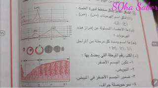 كيفية حل منحنيات دورة الطمث