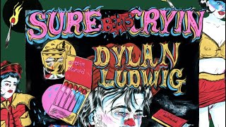 Dylan Ludwig - Sure Beats Cryin'  Resimi