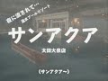 フシチョーGROUP (D&Eacute; D&Eacute; MOUSE &amp; Sean Oshima) - サンアクア太田大泉店 ローカルCM 『Just with you』