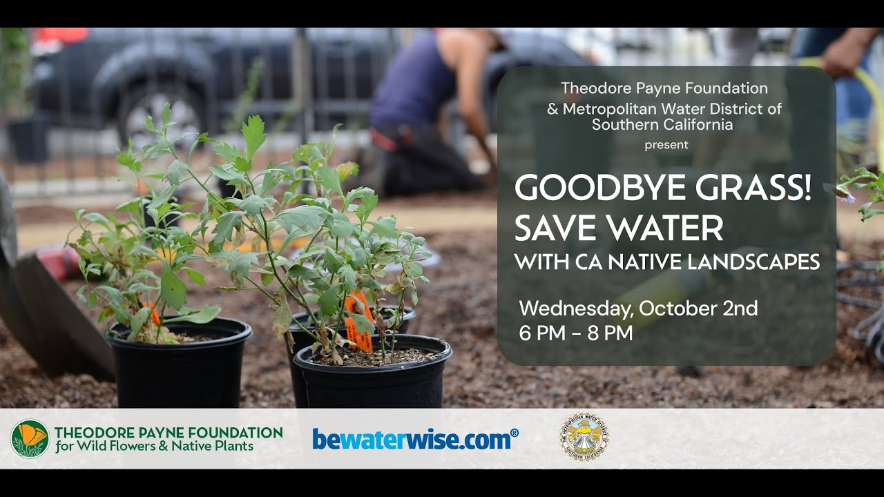 Goodbye Grass! Saving Water with California Native Landscapes