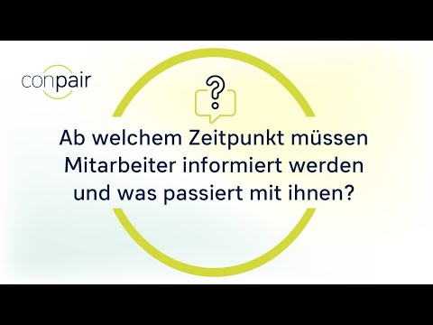 Die verschiedenen Bonusphasen verstehen