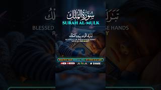 Surah Al Mulk - سورة الملك ✦ A Recitation That Touches The Heart ✦ NOOR