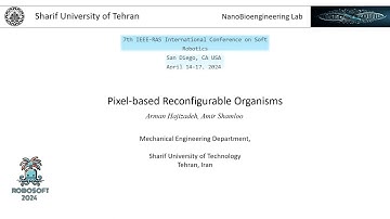 IEEE Robosoft 2024 - Pixel-based reconfigurable organism